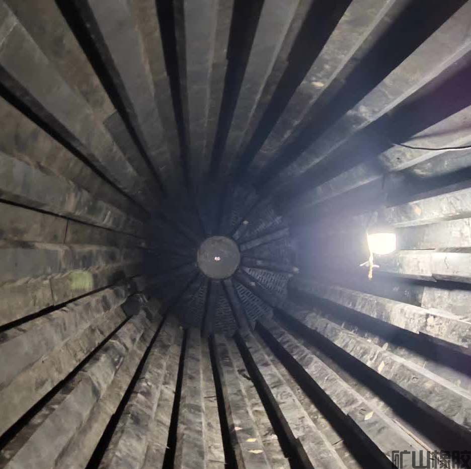 藝術(shù)在民間——橡膠襯板也能拍攝出花的感覺(圖3) 藝術(shù)在民間——橡膠襯板也能拍攝出花的感覺(圖3)