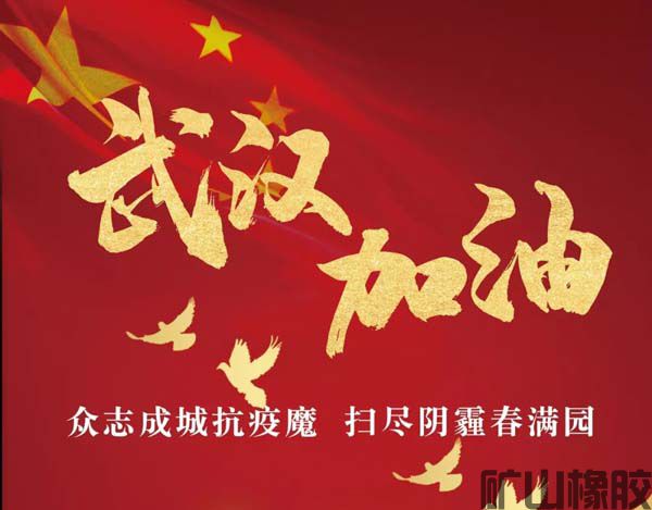 齊心協(xié)力，共抗疫情——遠程指導安裝橡膠襯板(圖1)